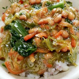 納豆の食べ方-めかぶ＆わさび菜しその実漬け